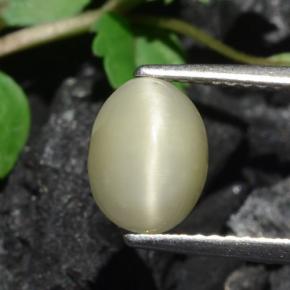 1.93 ct Cream Quartz Cat's Eye Gemstone, Quartz Cat's Eye Gem in Oval Cabochon Shape for Sale.