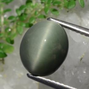 Medium-Deep Green Quartz Cat's Eye Gem - 3.7ct Oval Cabochon (ID: 472401)