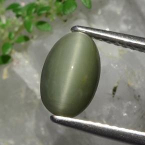 1.90 ct Green Quartz Cat's Eye Gemstone, Quartz Cat's Eye Gem in Oval Cabochon Shape for Sale.