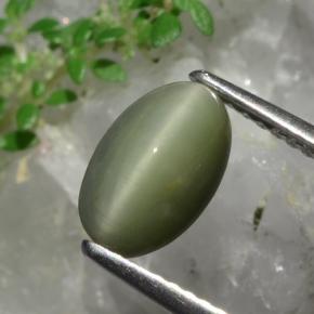 1.90 ct Green Quartz Cat's Eye Stone, Natural Quartz Cat's Eye in Oval Cabochon Shape for Sale