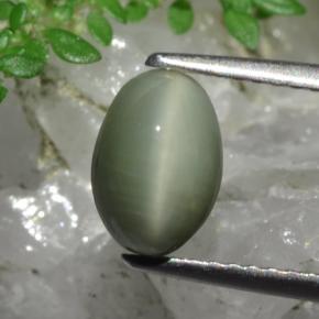 1.78 ct Green Quartz Cat's Eye Gemstone, Quartz Cat's Eye Gem in Oval Cabochon Shape for Sale.