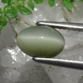 Quartz Cat's Eye Gemstone in 8.1 x 5.7 mm Size for Sale, Quartz Cat's Eye Stone in Green Color