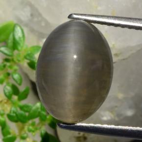 5.37 ct Brown Quartz Cat's Eye Gemstone, Quartz Cat's Eye Gem in Oval Cabochon Shape for Sale.