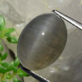 5.37 ct Brown Quartz Cat's Eye Stone, Natural Quartz Cat's Eye in Oval Cabochon Shape for Sale