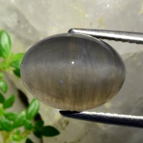 Quartz Cat's Eye Gemstone in 12.3 x 9.2 mm Size for Sale, Quartz Cat's Eye Stone in Peanut Brown Color