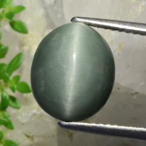 Verde intenso medio Cuarzo Ojo de Gato Gema - 5.5ct Cabujón Óvalo (ID: 472405)