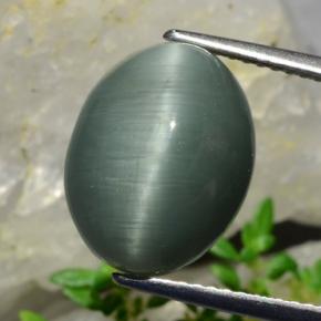 8.2ct Oval Cabochon Green Quartz Cat's Eye Gem for sale 8.2ct Oval Cabochon Green Quartz Cat's Eye Gem (ID: 472406)