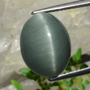 8.20 ct Green Quartz Cat's Eye Stone, Natural Quartz Cat's Eye in Oval Cabochon Shape for Sale