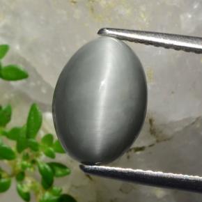 3.2ct Oval Cabochon Green Quartz Cat's Eye for sale thumb image of 3.2ct Oval Cabochon Green Quartz Cat's Eye (ID: 472408)