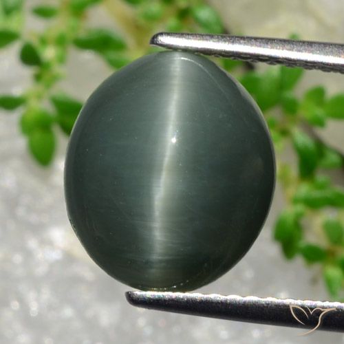 Oeil de Chat Quartz Ovale en damier des États-Unis 5,66 ct, dimension 11,3 x 9,8mm, pureté Opaque , pierre gemme naturelle Non traité, 1 pièce Oeil de Chat Quartz de couleur Gris verdâtre, dureté Mohs de 7 convient aux bijoux de tous les jours, pierre de sagesse, Photo A