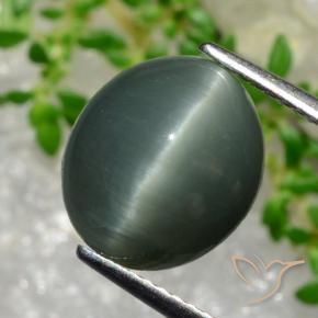 5.66 ct Green Quartz Cat's Eye Stone, Natural Quartz Cat's Eye in Oval Cabochon Shape for Sale