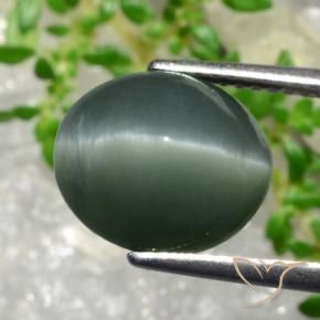 Quartz Cat's Eye Gemstone in 11.3 x 9.8 mm Size for Sale, Quartz Cat's Eye Stone in Greenish Grey Color