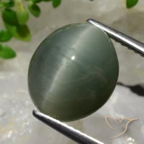 6.98 ct Green Quartz Cat's Eye Stone, Natural Quartz Cat's Eye in Oval Cabochon Shape for Sale