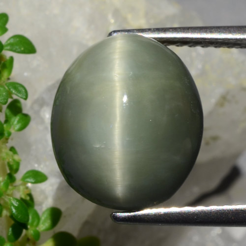 Verde intenso medio Cuarzo Ojo de Gato Gema - 6.1ct Cabujón Óvalo (ID: 472413)