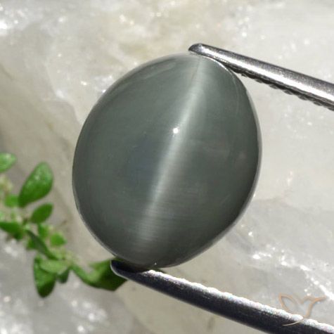 6.17 ct Oval Quartz Cat's Eye, 11.9 x 9.9 mm From Sri Lanka, Photo A