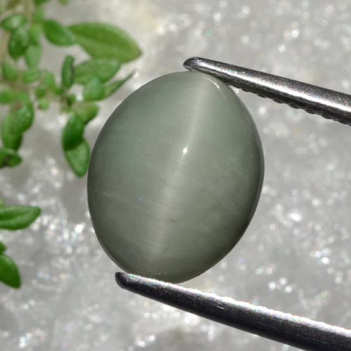Gris vert Oeil de Chat Quartz gemme - 3.6ct Ovale Cabochon (ID: 472420)