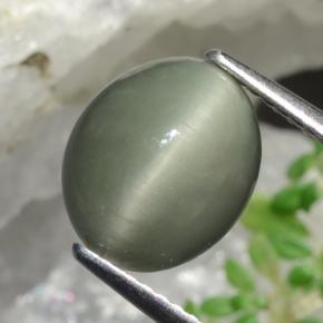 3.68 ct Green Quartz Cat's Eye Stone, Natural Quartz Cat's Eye in Oval Cabochon Shape for Sale