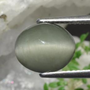 Quartz Cat's Eye Gemstone in 10.4 x 8.8 mm Size for Sale, Quartz Cat's Eye Stone in Green Color