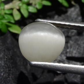 Quartz Cat's Eye Gemstone in 8.1 x 7.9 mm Size for Sale, Quartz Cat's Eye Stone in Cream Color