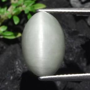 7.75 ct Gray Quartz Cat's Eye Gemstone, Quartz Cat's Eye Gem in Oval Cabochon Shape for Sale.