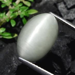 7.75 ct Gray Quartz Cat's Eye Stone, Natural Quartz Cat's Eye in Oval Cabochon Shape for Sale