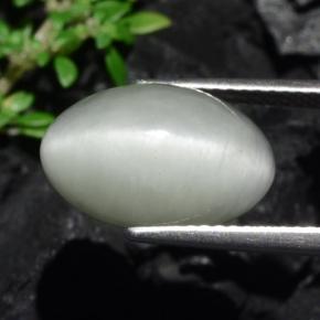 Quartz Cat's Eye Gemstone in 14.4 x 9.4 mm Size for Sale, Quartz Cat's Eye Stone in Light Grey Color
