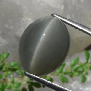 8.58 ct Green Quartz Cat's Eye Stone, Natural Quartz Cat's Eye in Oval Cabochon Shape for Sale