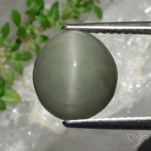 4.44 ct Oval Quartz Cat's Eye, 10.5 x 9.7 mm From Sri Lanka, Photo A