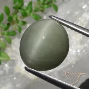 4.44 ct Green Quartz Cat's Eye Stone, Natural Quartz Cat's Eye in Oval Cabochon Shape for Sale