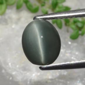 Greenish Grey Quartz Cat's Eye Gem - 1.9ct Oval Cabochon (ID: 472427)