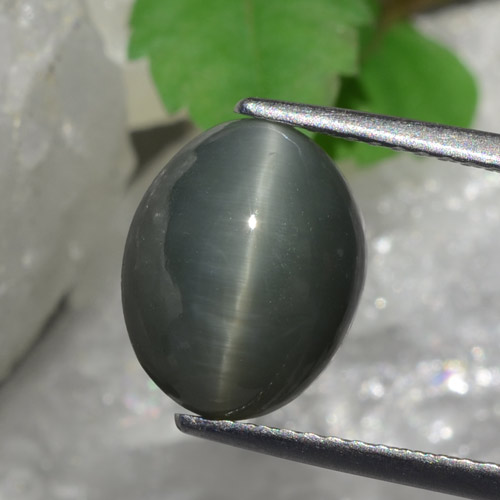 Greenish Grey Quartz Cat's Eye Gem - 4.5ct Oval Cabochon (ID: 472433)