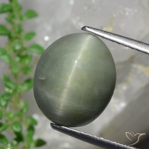 Oeil de Chat Quartz Vert oval cabochon 11,8 x 10,1mm du Sri Lanka, poids de 6,13 ct, pierre gemme naturelle Non traité de pureté Opaque , 1 pièce Oeil de Chat Quartz, couleur : Vert moyen, dureté de Mohs de 7 convient aux bijoux de tous les jours, pierre de sagesse, Photo A