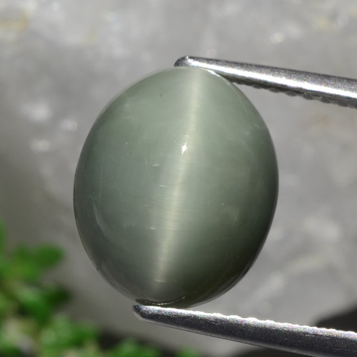 Medium Green Quartz Cat's Eye Gem - 5.8ct Oval Cabochon (ID: 472438)