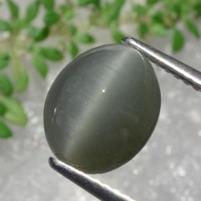 3.22 ct Green Quartz Cat's Eye Stone, Natural Quartz Cat's Eye in Oval Cabochon Shape for Sale
