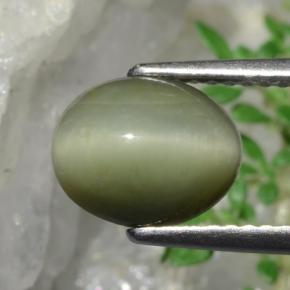 Quartz Cat's Eye Gemstone in 9.3 x 7.3 mm Size for Sale, Quartz Cat's Eye Stone in Green Color