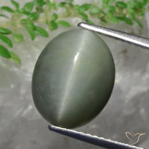 5.82 ct Oval Quartz Cat's Eye, 12.1 x 9.8 mm From Sri Lanka, Photo A
