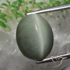 5.82 ct Green Quartz Cat's Eye Stone, Natural Quartz Cat's Eye in Oval Cabochon Shape for Sale