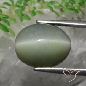 Quartz Cat's Eye Gemstone in 12 x 10 mm (calibrated) Size for Sale, Quartz Cat's Eye Stone in Medium Green Color