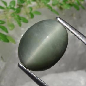3.36 ct Green Quartz Cat's Eye Stone, Natural Quartz Cat's Eye in Oval Cabochon Shape for Sale