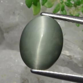 3.8ct Oval Cabochon Green Quartz Cat's Eye Gem for sale 3.8ct Oval Cabochon Green Quartz Cat's Eye Gem (ID: 472472)