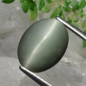 3.82 ct Green Quartz Cat's Eye Stone, Natural Quartz Cat's Eye in Oval Cabochon Shape for Sale