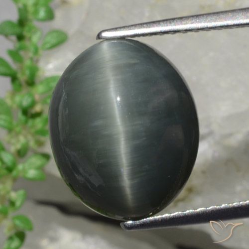 Dark Grey Quartz Cat's Eye Gem - 8.6ct Oval Cabochon (ID: 472473)
