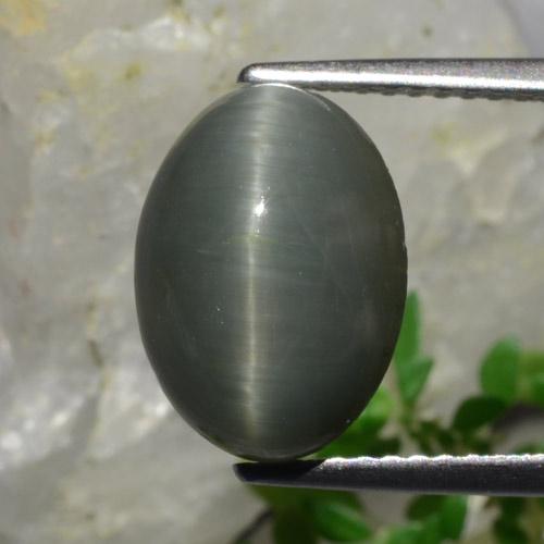 Dark Grey Quartz Cat's Eye Gem - 4.9ct Oval Cabochon (ID: 472474)