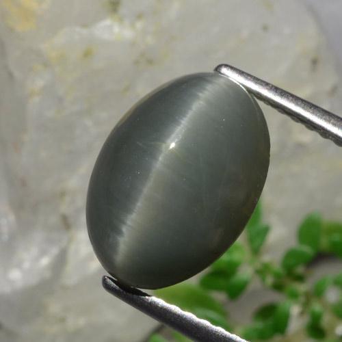 4.88 ct Gray Quartz Cat's Eye Stone, Natural Quartz Cat's Eye in Oval Cabochon Shape for Sale