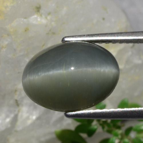 Quartz Cat's Eye Gemstone in 12 x 8.7 mm Size for Sale, Quartz Cat's Eye Stone in Dark Grey Color