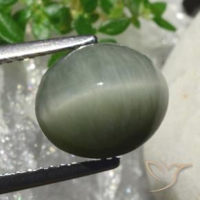 Quartz Cat's Eye Gemstone in 10.2 x 8.9 mm Size for Sale, Quartz Cat's Eye Stone in Medium Grey Color