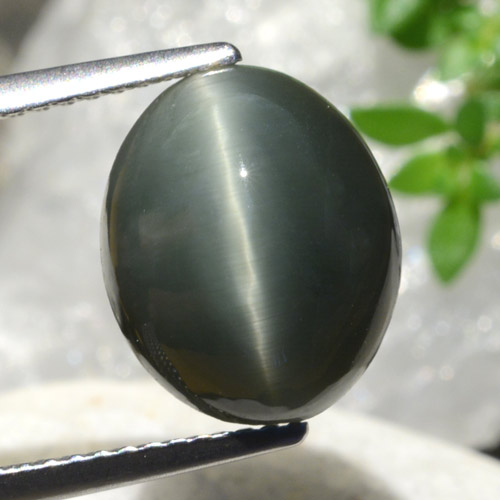 Greenish Grey Quartz Cat's Eye Gem - 6.1ct Oval Cabochon (ID: 472515)