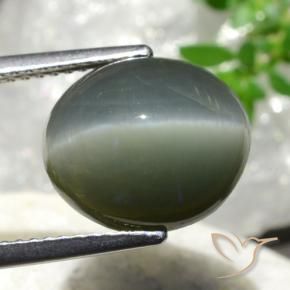 Quartz Cat's Eye Gemstone in 12.1 x 10.6 mm Size for Sale, Quartz Cat's Eye Stone in Medium Grey Color