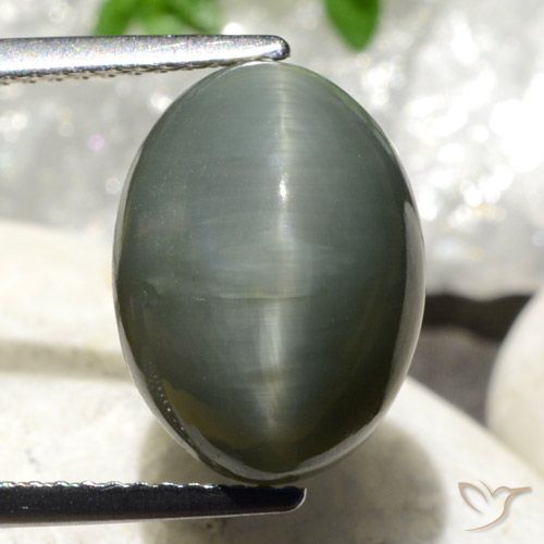 Oeil de Chat Quartz Vert oval cabochon du Sri Lanka, 13,5 x 10mm, poids de 8,7 ct, pierre gemme naturelle Non traité de pureté Opaque , 1 pièce Oeil de Chat Quartz, couleur Gris verdâtre, dureté Mohs de 7 convient aux bijoux de tous les jours, pierre de sagesse, Photo A