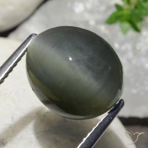 7.47 ct Gray Quartz Cat's Eye Stone, Natural Quartz Cat's Eye in Oval Cabochon Shape for Sale